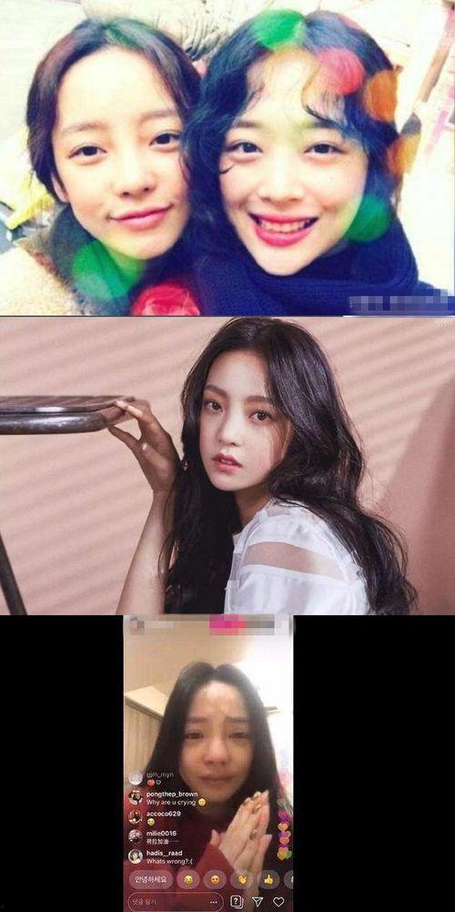 娱乐圈综艺吃瓜爽文,揭秘明星背后的“吃瓜”真相