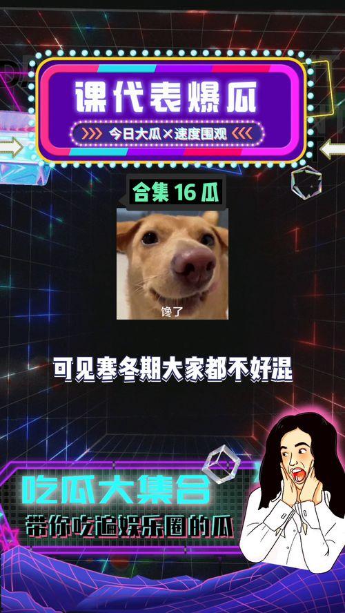 娱乐吃爆瓜,爆瓜盛宴，明星幕后故事大公开
