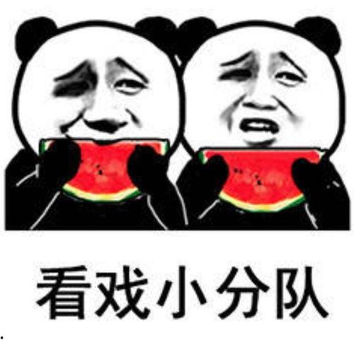 娱乐吃瓜八卦图片表情包,吃瓜群众眼中的明星表情包大赏