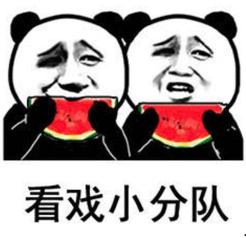 吃瓜娱乐群众,吃瓜群众眼中的明星生活
