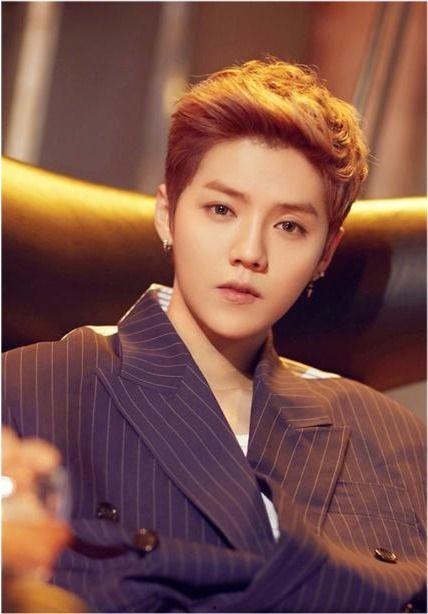 娱乐吃瓜猫鹿晗恋情官宣,娱乐圈新恋情引爆热议