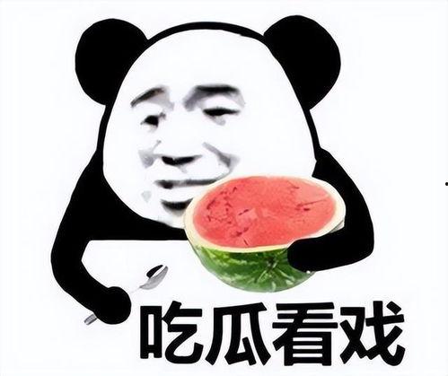 娱乐吃瓜酱为啥不一样,娱乐吃瓜酱为何千姿百态，独家揭秘幕后故事