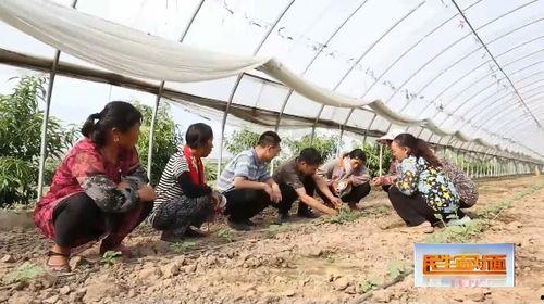 安排好行程娱乐吃瓜酱,尽享娱乐美食之旅