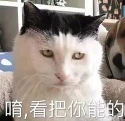 娱乐圈吃瓜猫咪是谁啊,揭秘网络红星的幕后推手