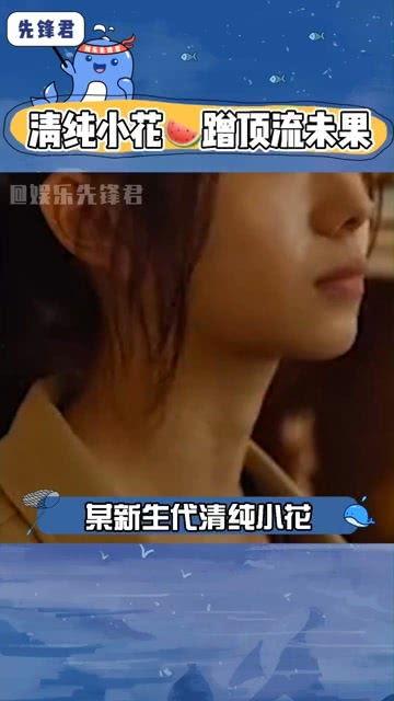 吃瓜娱乐播报台,揭秘娱乐圈最新热点，带你畅游八卦海洋