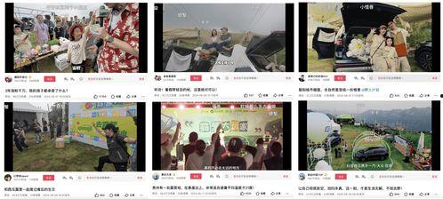 娱乐吃瓜视频剪映下载,轻松下载娱乐视频，畅享追剧乐趣