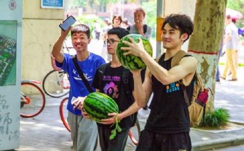 吃瓜娱乐学校,揭秘娱乐圈背后的秘密与趣味