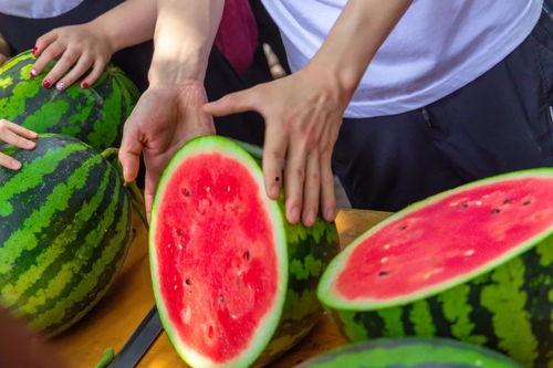 吃瓜娱乐学校,揭秘娱乐圈背后的秘密与趣味
