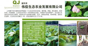 娱乐吃瓜的宣传策略,吃瓜群众必看的幕后大戏！