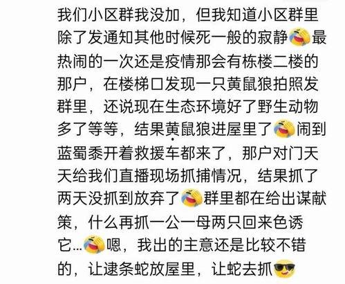 娱乐吃瓜酱名言大全集,笑料百出，智慧闪耀