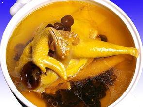 娱乐吃瓜酱鸡汤视频播放,揭秘热门视频背后的故事与感悟