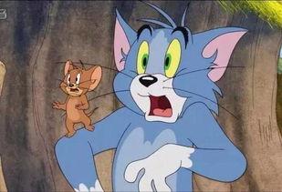 吃娱乐瓜tom猫的微博,Tom猫微博揭秘娱乐圈幕后故事