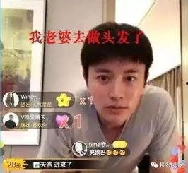 电视剧推荐吃瓜娱乐圈,剧透来袭！跟随吃瓜娱乐圈揭秘影视圈幕后风云