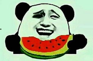 娱乐吃瓜酱假装打电话,明星幕后故事大揭秘！