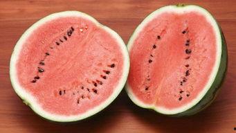 娱乐吃瓜酱属于什么领域,揭秘娱乐圈幕后故事与热点事件