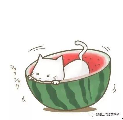 娱乐吃瓜头像图片图文素材